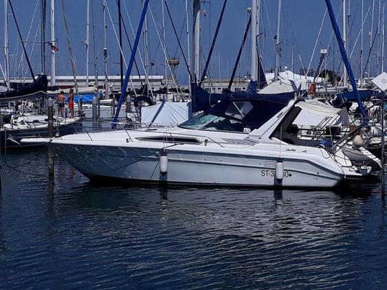 Sea Ray 310 – Sundancer