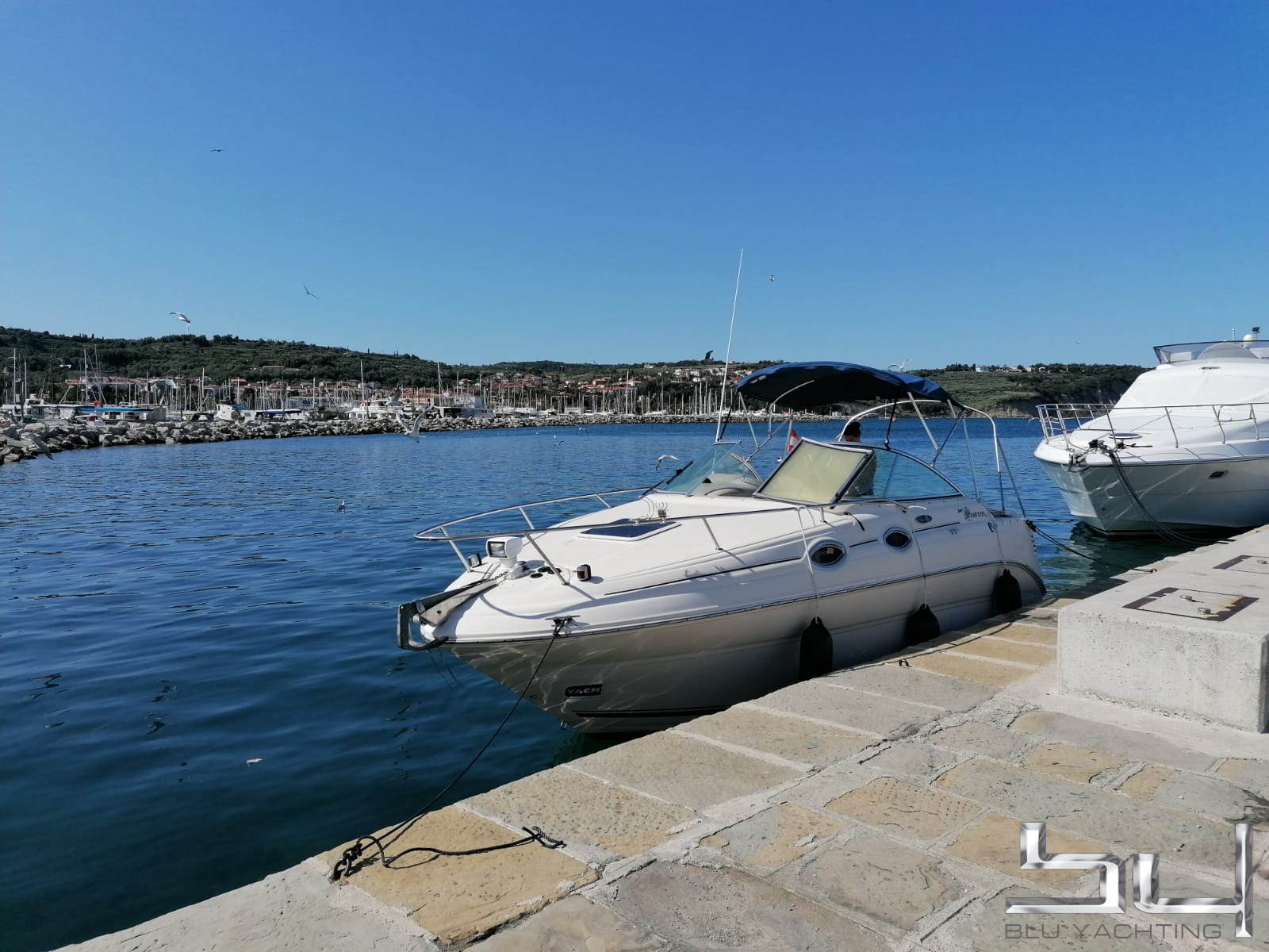 Sea Ray 240 Sundander